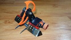 Division in March 2022