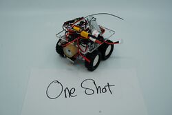 One Shot in August 2019