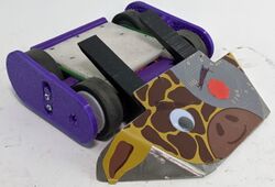 Wicked Wedge in March 2022