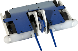 Sea Dragon's Roar in April 2022