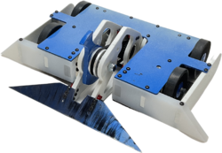 Sea Dragon's Roar in July 2022