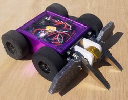 Stag beetle bot in September 2022