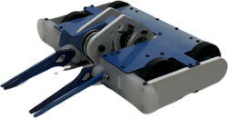 Sea Dragon's Roar in September 2022