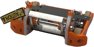 Tabby in February 2025