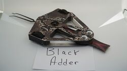 Black Adder in November 2020 (High-Res)