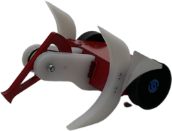 Backlash Wave in September 2022