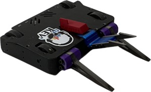 Wildcat Destroyer in January 2024