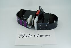 Protostorm in January 2020