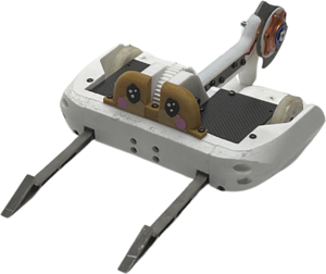 Chippy in April 2025