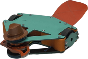 Perry The Platybot in May 2025