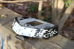 Doomba in November 2022