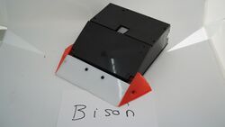 Bison in November 2020 (high-res)