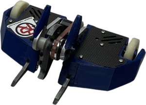 Rhino in February 2025