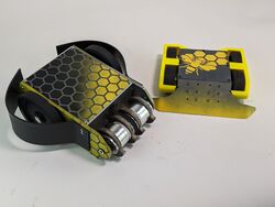 Busy Bee in September 2021