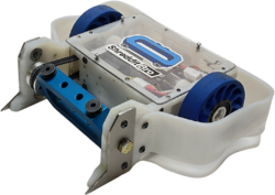 Shreddit Bro in July 2022