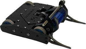 Windbreak in May 2025