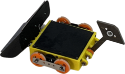 Quack and Whack in June 2023