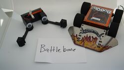 Battle Borne in November 2020