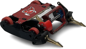 Red Flag in May 2025