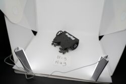 Big Hug in March 2019