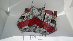 P12 in November 2020