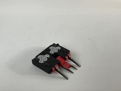 Bean Supreme in August 2023