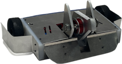 Allegedly this is Buster in June 2023, but it seems to be a mislabeled photo...