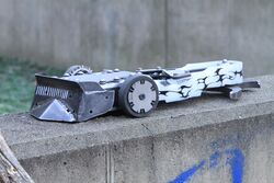 Maximizer in March 2024