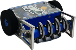 Wolf Pup in September 2022