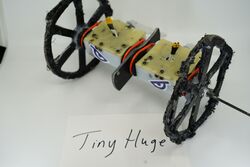 Tiny Huge in January 2020