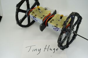 Tiny Huge as it appeared January 2020