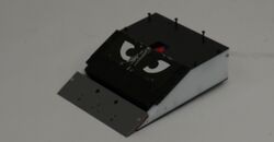 Bison in February 2021