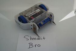 Shreddit Bro in November 2020