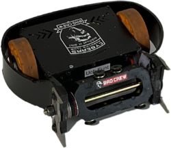 Uch Funt in April 2022