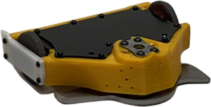 Buzzz-Thrill in June 2025