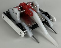 Razorback in January 2024, with background