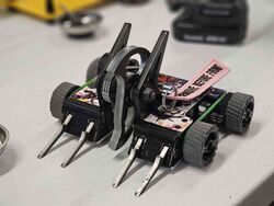 Chainsaw Kitty in March 2023