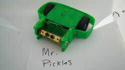 Mr. Pickles in November 2020