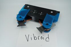 Vibroid in January 2020