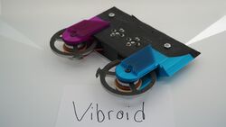 Vibroid in November 2020