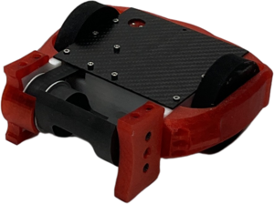 SALVAJE in March 2025