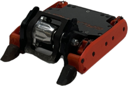 Eruption in September 2022