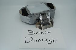 Brain Damage in November 2019