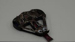 Black Adder in January 2021