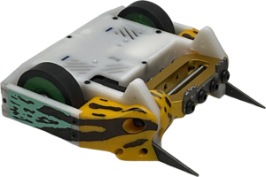 Frogspawn in June 2025