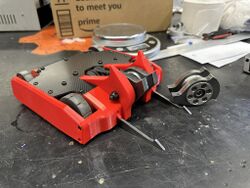 Red Panda in March 2024